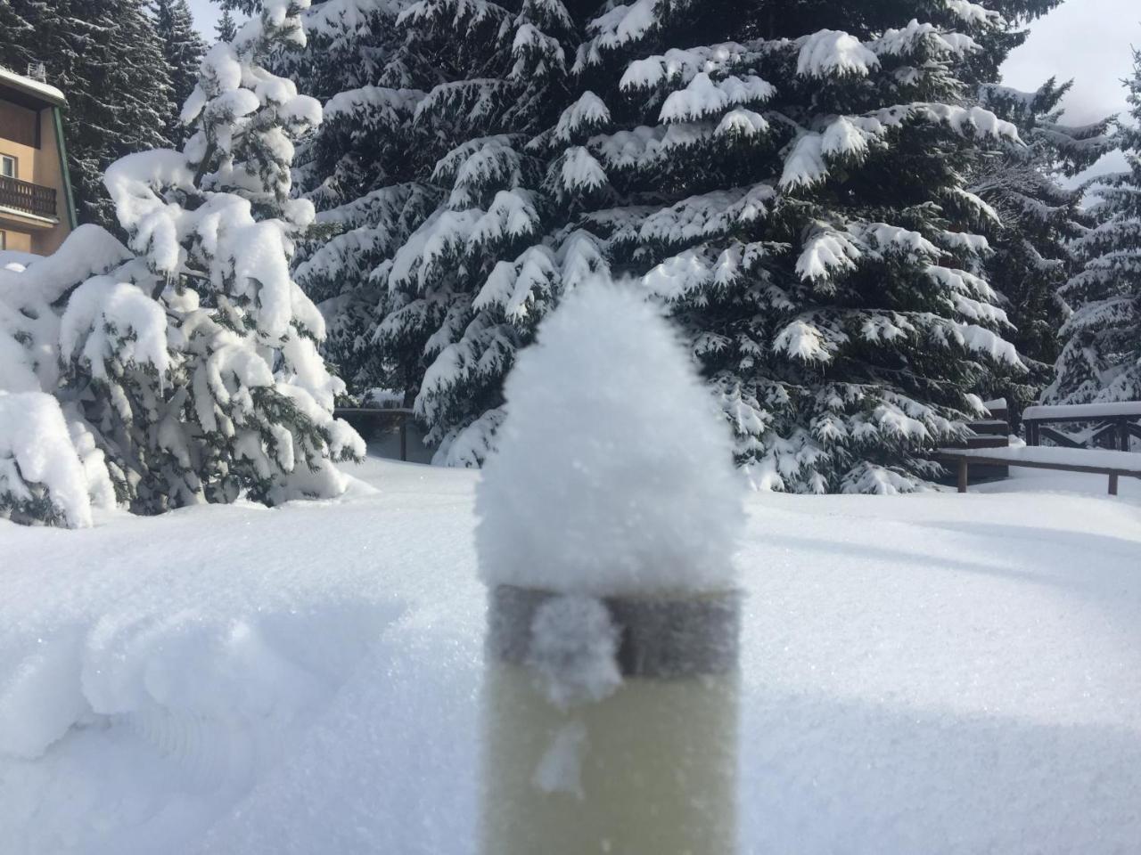 King Size Apartman Pension Monika Spindleruv Mlyn Exterior foto