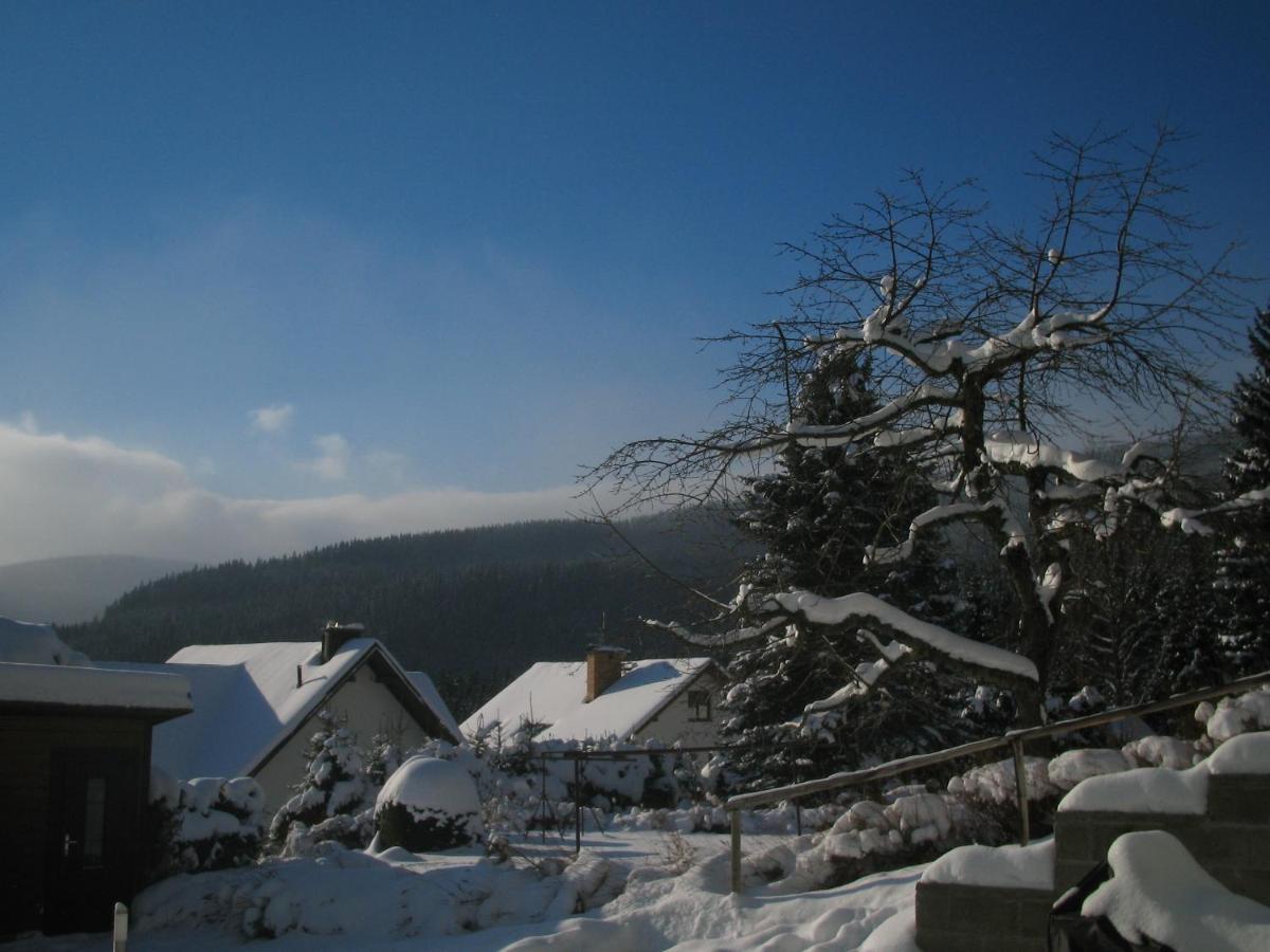 King Size Apartman Pension Monika Spindleruv Mlyn Exterior foto